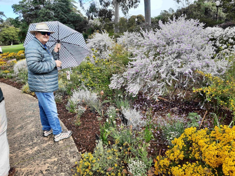 WA National Rove - Wildflowers West